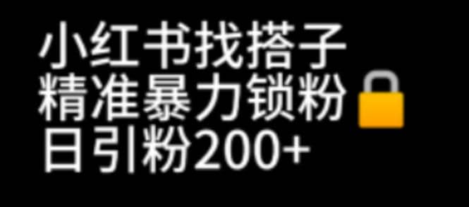 小红书找搭子暴力精准锁粉 引流日引200 精准粉-知一项目网