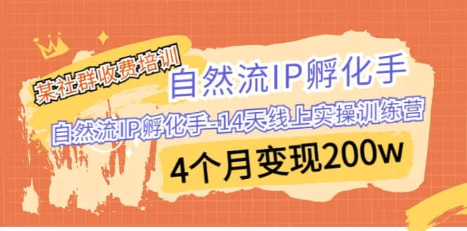 某社群收费培训：自然流IP 孵化手-14天线上实操训练营 4个月变现200w-知一项目网