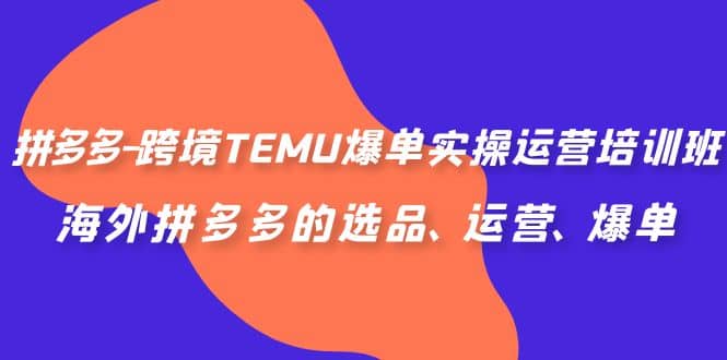 拼多多-跨境TEMU爆单实操运营培训班，海外拼多多的选品、运营、爆单-知一项目网