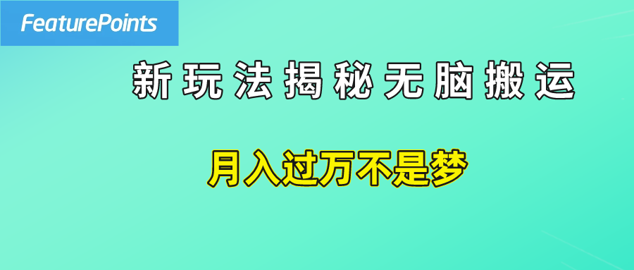 简单操作，每天50美元收入，搬运就是赚钱的秘诀！-知一项目网