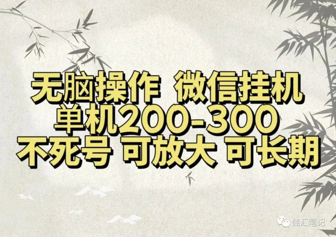 无脑操作微信视频号挂机单机200-300一天，不死号，可放大，工作室实测-知一项目网