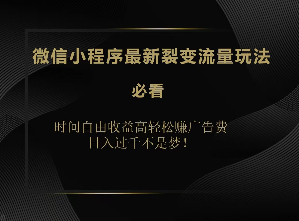 微信小程序最新裂变流量玩法，时间自由收益高轻松赚广告费，日入200-500+-知一项目网