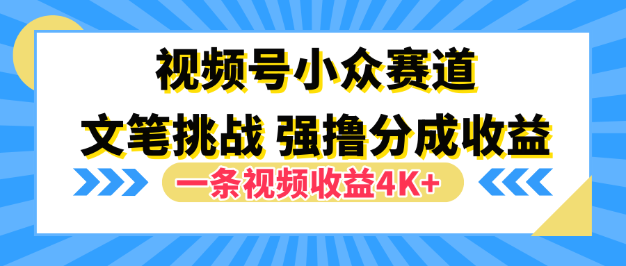 视频号小众赛道，文笔挑战，一条视频收益4K+-知一项目网