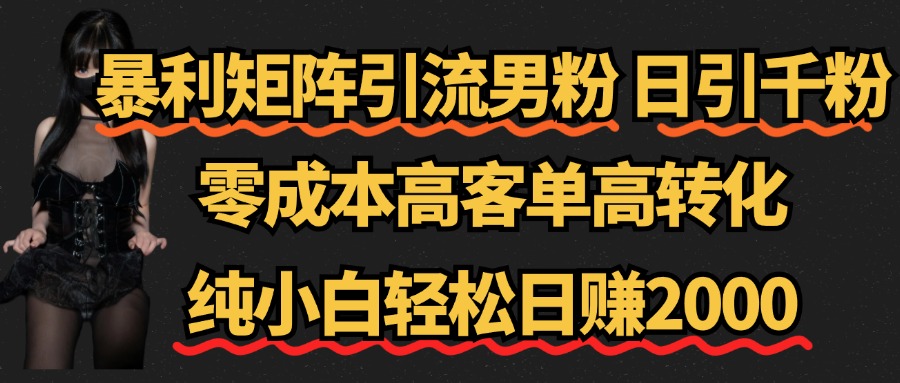 暴利矩阵引流男粉（日引千粉），零成本高客单高转化，纯小白轻松日赚2000+-知一项目网