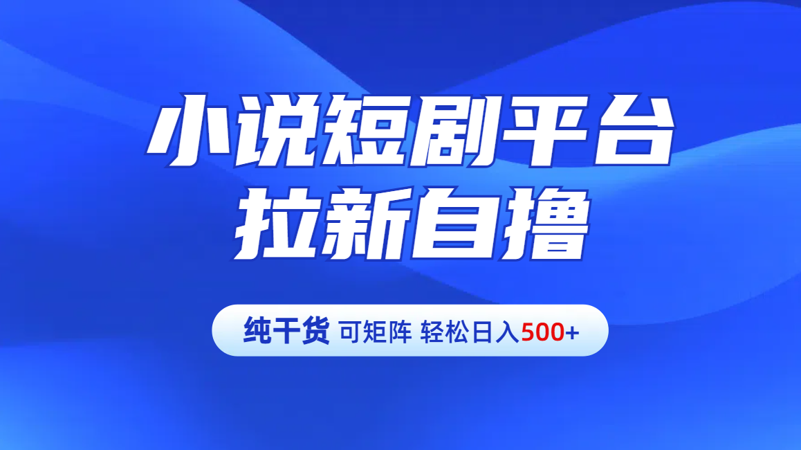 【纯干货】小说短剧平台拉新自撸玩法详解-单人轻松日入500+-知一项目网