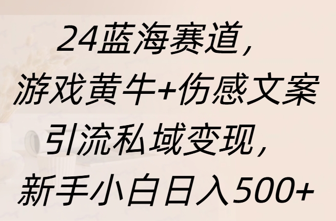 24蓝海赛道，游戏黄牛+伤感文案引流私域变现，新手日入500+-知一项目网