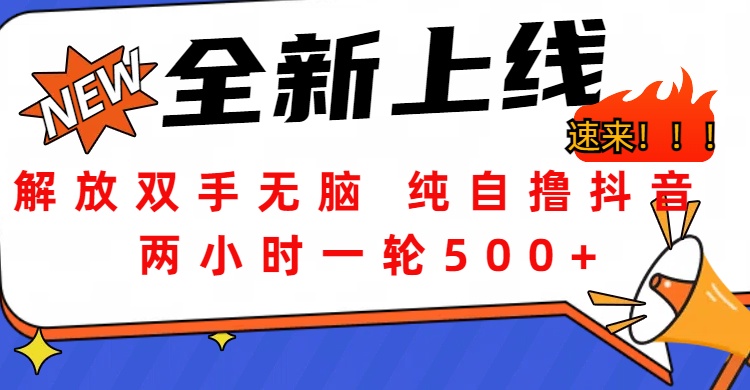 解放双手无脑 纯自撸抖音 两小时一轮500+-知一项目网