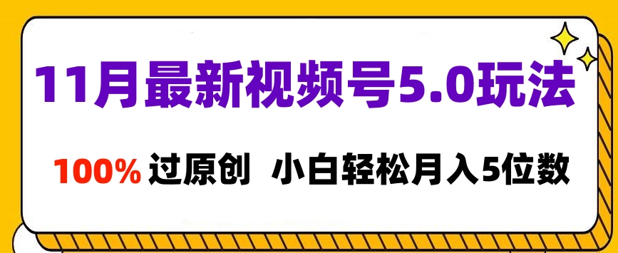 11月最新视频号5.0玩法，100%过原创，小白轻松月入5位数-知一项目网