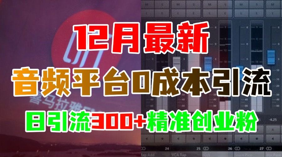 12月最新：音频平台0成本引流，日引300+精准创业粉-知一项目网