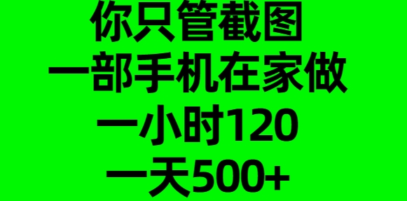 你只管截图，一部手机在家做，一小时120，一天500+-知一项目网