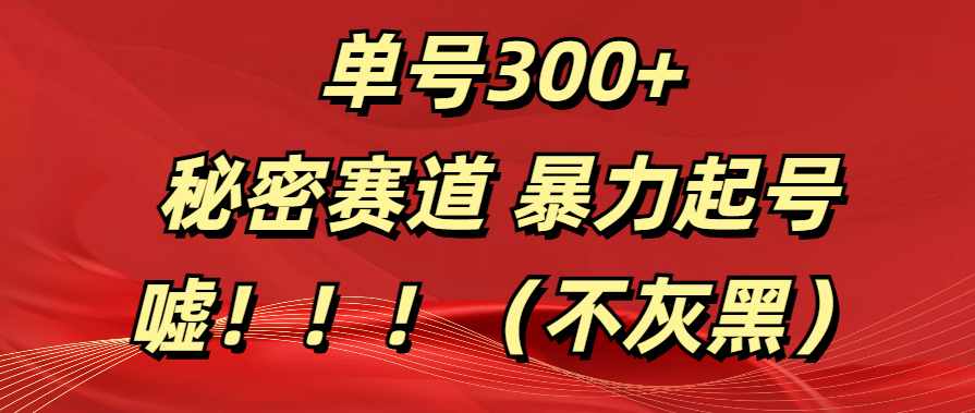 单号300+  秘密赛道 暴力起号  （不灰黑）-知一项目网