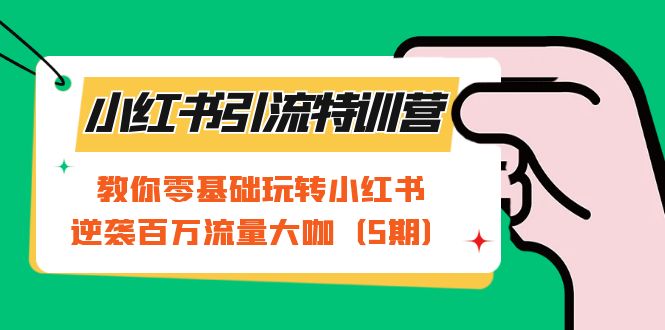 小红书引流特训营-第5期：教你零基础玩转小红书，逆袭百万流量大咖-知一项目网