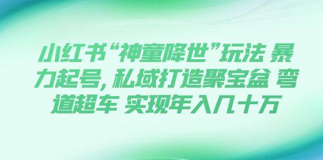 小红书“神童降世”玩法 暴力起号,私域打造聚宝盆 弯道超车 实现年入几十万-知一项目网