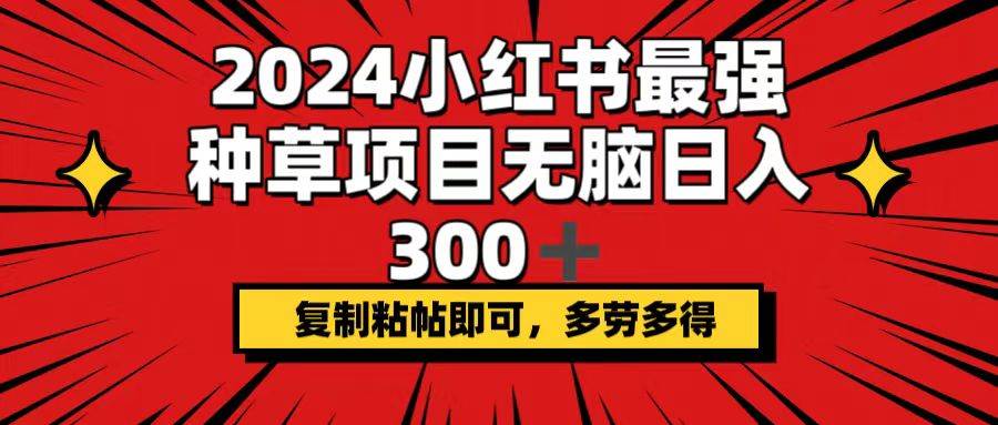 2024小红书最强种草项目，无脑日入300+，复制粘帖即可，多劳多得-知一项目网